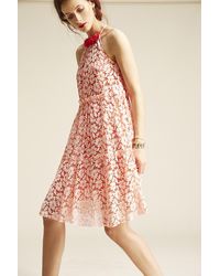 OKY Lace A-line Dress Rojo - Multicolour