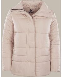 Hajo - Kurzjacke Steppjacke wattiert mit Stehkragen - Lyst