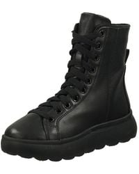 Geox - Stiefelette Leder Schnürstiefelette - Lyst