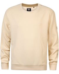 Petrol Industries - Sweatshirt Lässige Sweater in Plus Size Kavik - Lyst