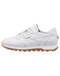 Lloyd - Gia Sneaker Mit Herausnehmbarem Fußbett - Lyst