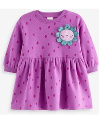 Next - Sweatkleid Langärmeliges Pulloverkleid (1-tlg) - Lyst