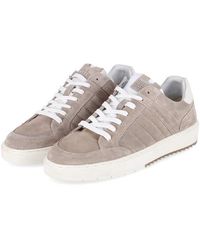 Bullboxer - Sneaker Low 7Vd0010101 3800 Herren Leder Taupe Sneaker - Lyst