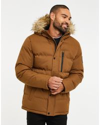 Threadbare - Steppjacke THB Jacket Arnwood Padded (1-St) mit kuscheliger Kapuze - Lyst
