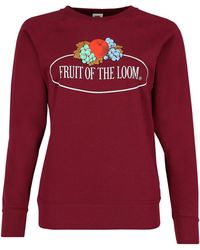 Fruit Of The Loom - Leichtes Sweatshirt mit Vintage-Logo - Lyst
