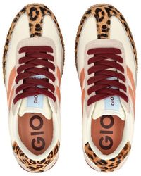 Gioseppo - Sneaker Leder/Textil Sneaker - Lyst