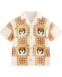 Next - Polokragenpullover Kurzärmeliges Poloshirt aus Strick mit Häkelkragen (1-tlg) - Lyst