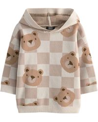 Next - Kapuzenpullover Gestricktes Kapuzensweatshirt (1-tlg) - Lyst