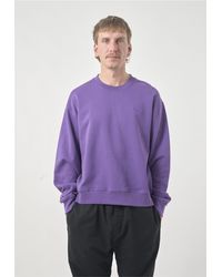 CLEPTOMANICX - Strickpullover Crewneck Ligull Boxy Crop mit lockerem Schnitt - Lyst