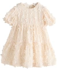 Next - Tüllkleid Kurzärmeliges Kleid mit 3D-Blumendetails (1-tlg) - Lyst