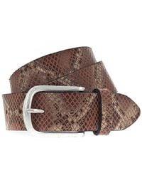 Vanzetti - Ledergürtel Animal Scouting - Lyst