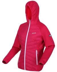 Regatta - Funktionsjacke Hybrid Softshelljacke Andreson VII - Lyst