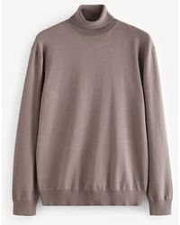 Next - Rollkragenpullover Regular Fit langärmeliger Strickpulli, Rollkragen (1-tlg) - Lyst