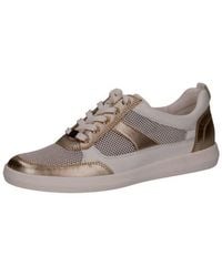 Caprice - Sneaker Leder/Textil Sneaker - Lyst
