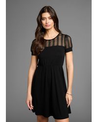 Laura Scott - Minikleid mit gestreiften Mesh-Einsatz & elastischem Bund - Lyst