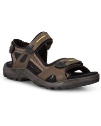 Ecco Heren Sandalen SALE • Tot 40% korting • SuperSales