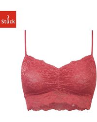 Snocks - Spitzen-BH (1-tlg) Soft Bustier ohne Bügel aus Spitze, Dessous - Lyst