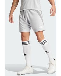 adidas - Funktionsshorts FORTORE 23 SHORTS - Lyst