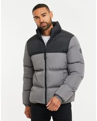 Threadbare - Steppjacke THB Jacket Firth Padded (1-St) mit hohem Stehkragen - Lyst