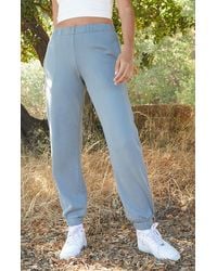 gray rosa sweatpants