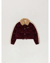Palm Angels - Classic Logo Cord Down Jacket Burgundy - Lyst