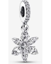 PANDORA - Sparkling Herbarium Cluster Dangle Charm - Lyst