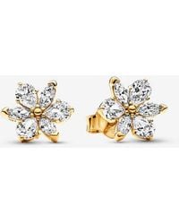PANDORA - Sparkling Herbarium Cluster Stud Earrings - Lyst