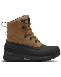 The North Face Mens Chilkat V Lace Waterproof Winter Boots - Brown