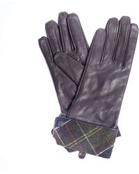 Barbour Lady Jane Gloves Chocolate - Grey