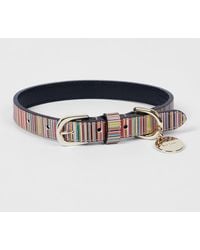 Paul Smith - 'Signature Stripe' Calf Leather Dog Collar Small/Medium - Lyst