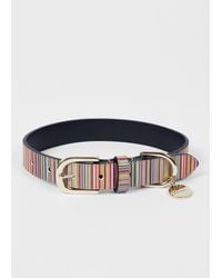 Paul Smith - 'Signature Stripe' Calf Leather Dog Collar Medium/Large - Lyst