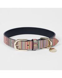 Paul Smith - 'Signature Stripe' Calf Leather Dog Collar Medium/Large - Lyst