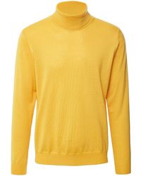 Peter Hahn Rollkragen-pullover in Gelb für Herren Herren Bekleidung Pullover und Strickware Rollkragenpullover 
