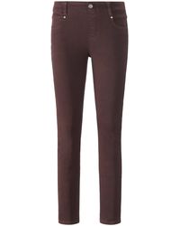 Liverpool Jeans Company Jeans modell gia glider skinny - Braun