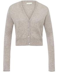 Peter Hahn - Vest En 100% Kasjmier Van - Lyst