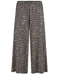 Green Cotton - Culotte Henriette - Lyst