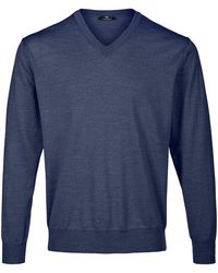Peter Hahn - V-Pullover - Lyst