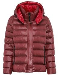 Fuchs & Schmitt - Steppjacke - Lyst