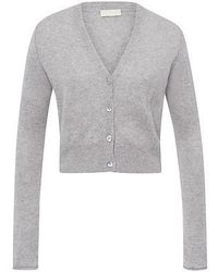 Peter Hahn - Vest En 100% Kasjmier Van - Lyst
