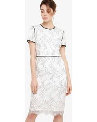 phase eight johanne lace dress