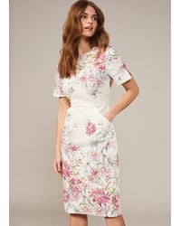 Phase Eight Marie Floral Print Knee Length Dress - White