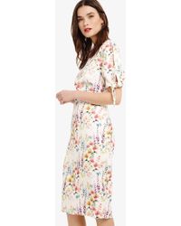 phase eight dee floral dress