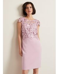 Phase Eight - Tallula Lace Dress - Lyst