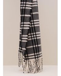 Phase Eight - Checked Printed Scarf - Lyst