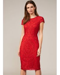 Phase Eight - Cat Tapework Lace Fitted Dress - Lyst