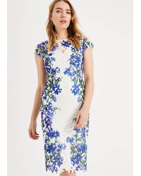 Phase Eight Dresses for Women - Up to 70% off at Lyst.co.uk