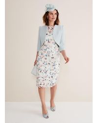 Phase Eight - 's Franky Floral Lace Fitted Dress - Lyst