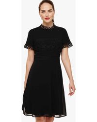 phase eight green ellise lace bodice dress