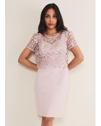 Phase Eight - Petite Isabella Lace Midi Dress - Lyst