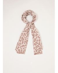Phase Eight - Mocha Leopard Scarf - Lyst